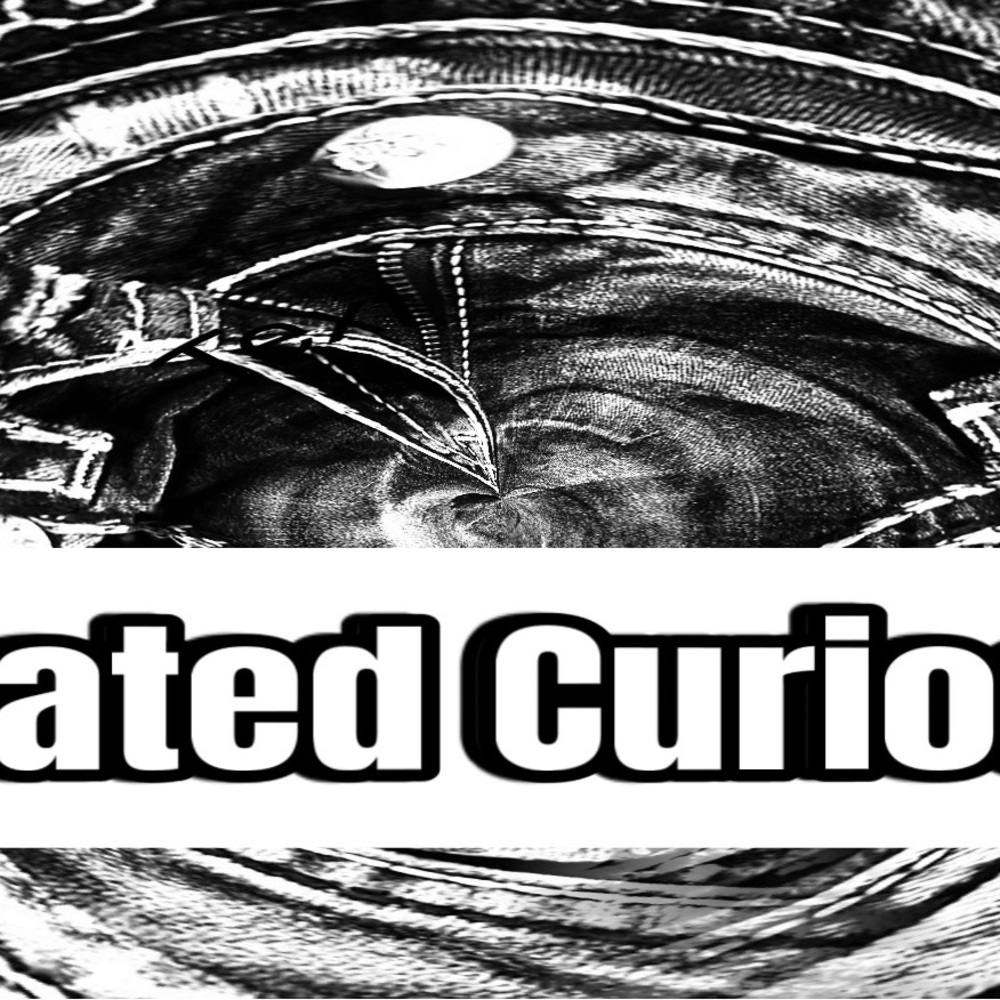 Meet your Posher, Curated curiosity’s
